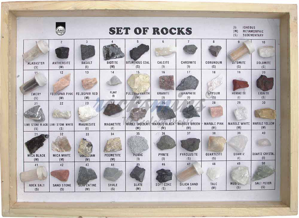 Rocks Collection Set of 50 Polished Showcase